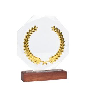 Trofeo Galvano de Madera, Cristal y Acero "Phelps"